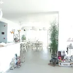 Althea Boutique - Adults Only