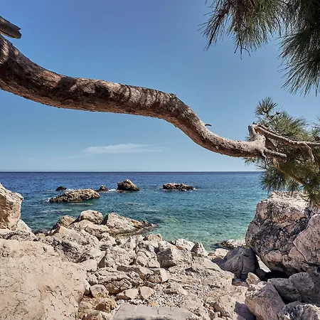 Althea Boutique - Adults Only Hotell Amoopi